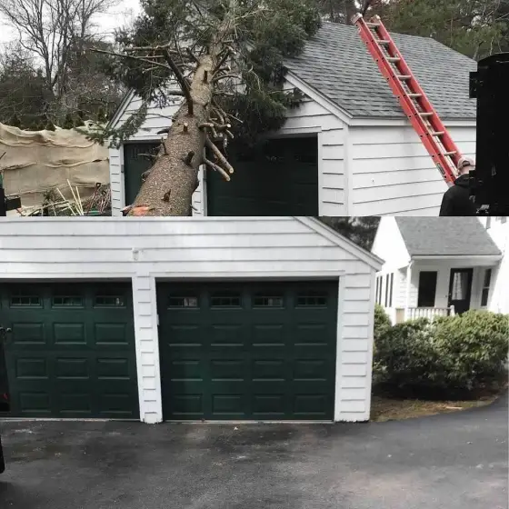 Storm-damaged tree against a garage before and cleared driveway after