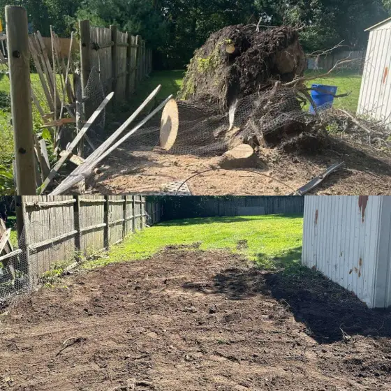 Fallen tree and stump before and the cleared, graded yard after