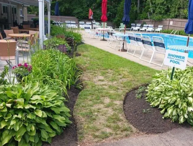 Planted beds and mulch edging along a pool deck